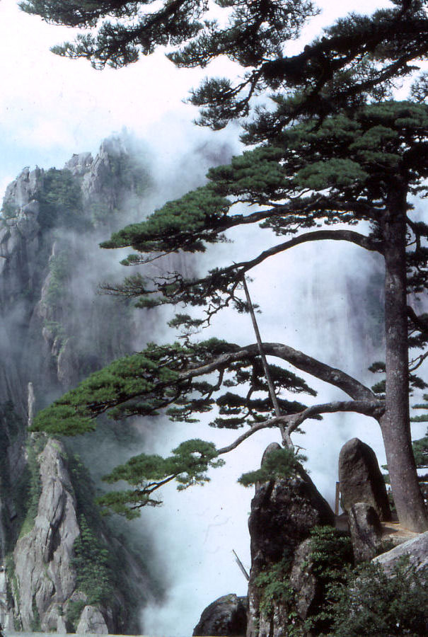 Mount Huangshan (Yellow Mountain) gallery image 1