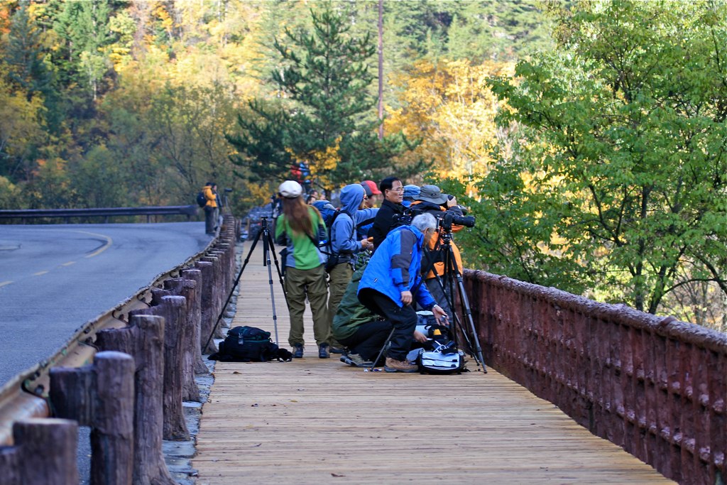 Jiuzhaigou Valley gallery image 4