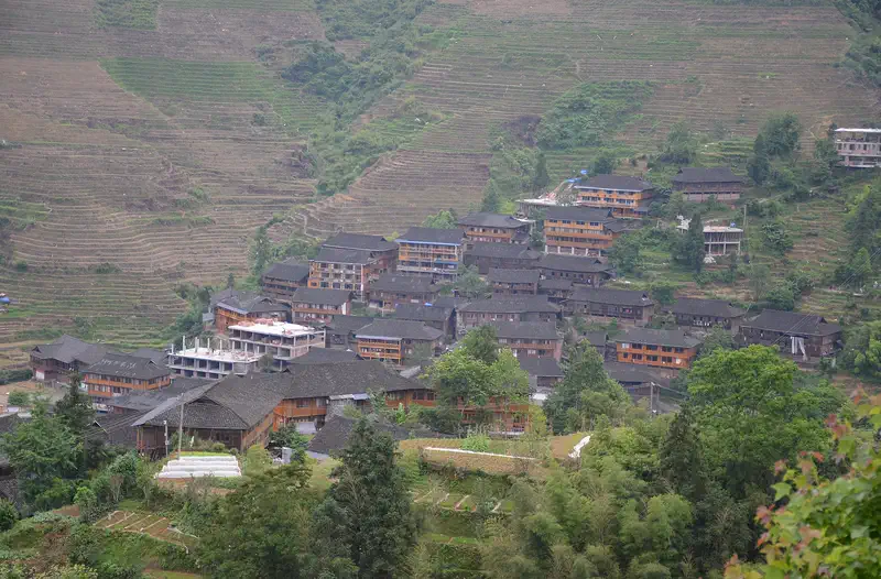 Longji (Dragon's Backbone) Rice Terraces: green terraced hillsides with clusters of wooden village houses scattered across the slopes