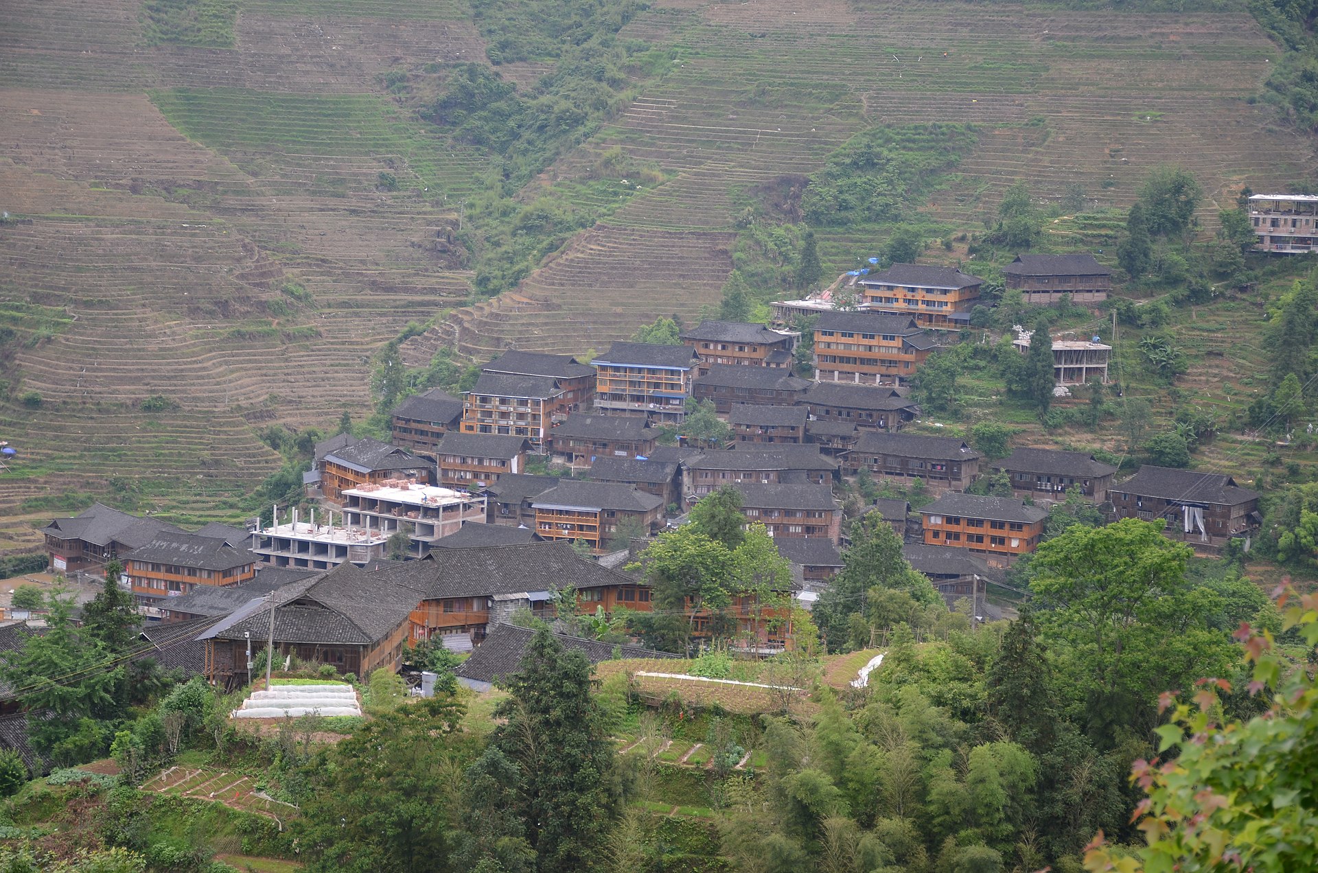 Longji (Dragon's Backbone) Rice Terraces