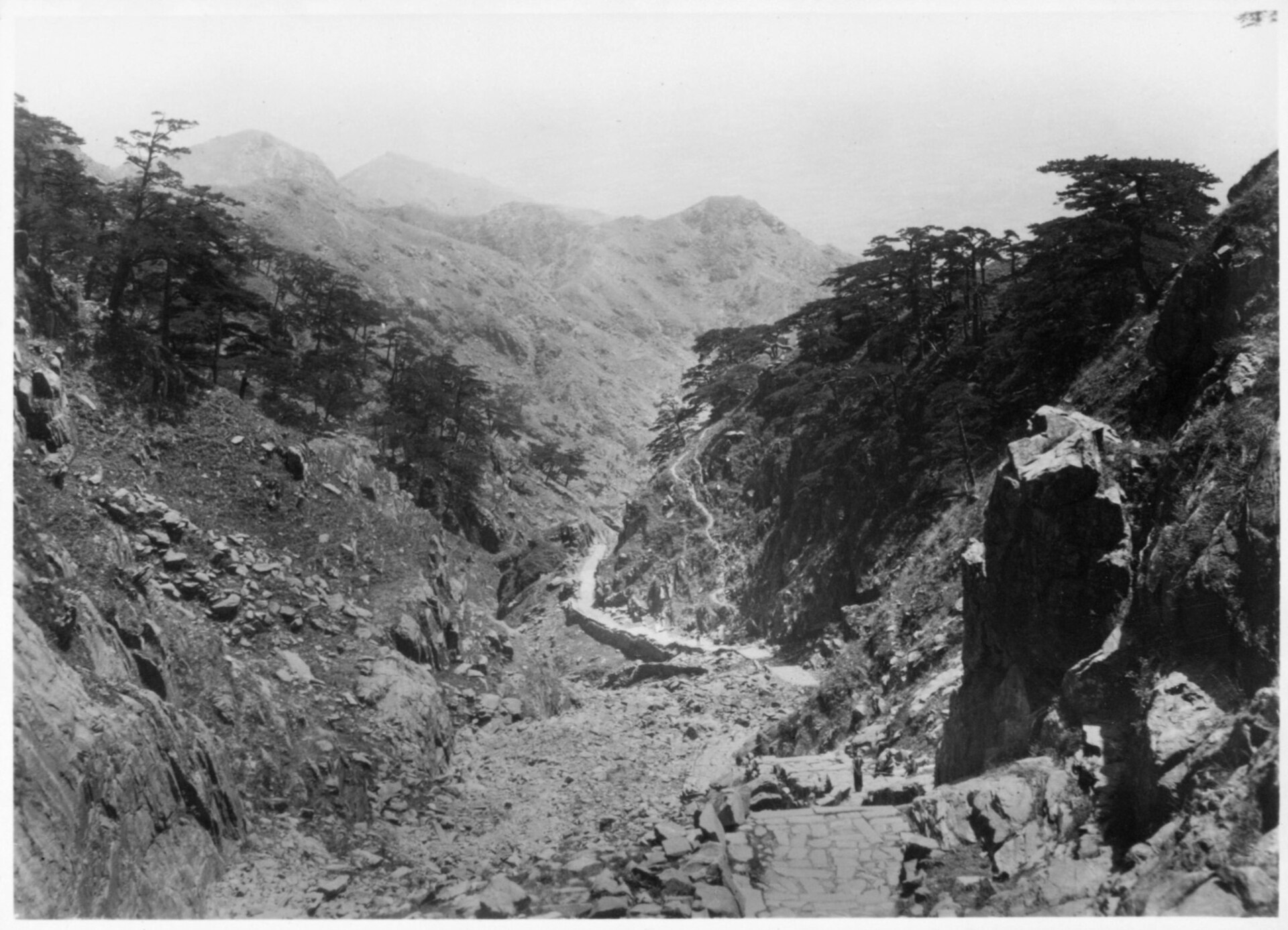 Mt Tai gallery image 1