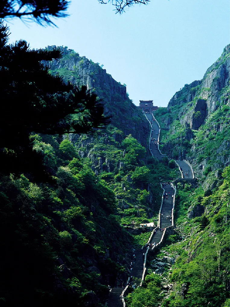 The stone pilgrim stairway climbing through Mt Tai's forested gorge, Shandong