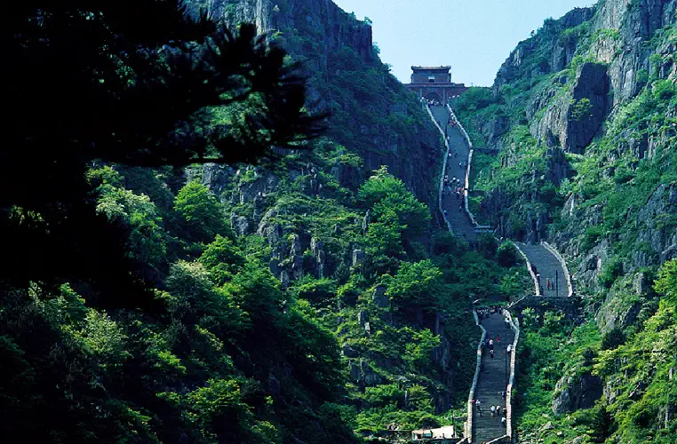 Mt Tai: aerial view of a winding stone stairway descending a steep, forested green mountainside