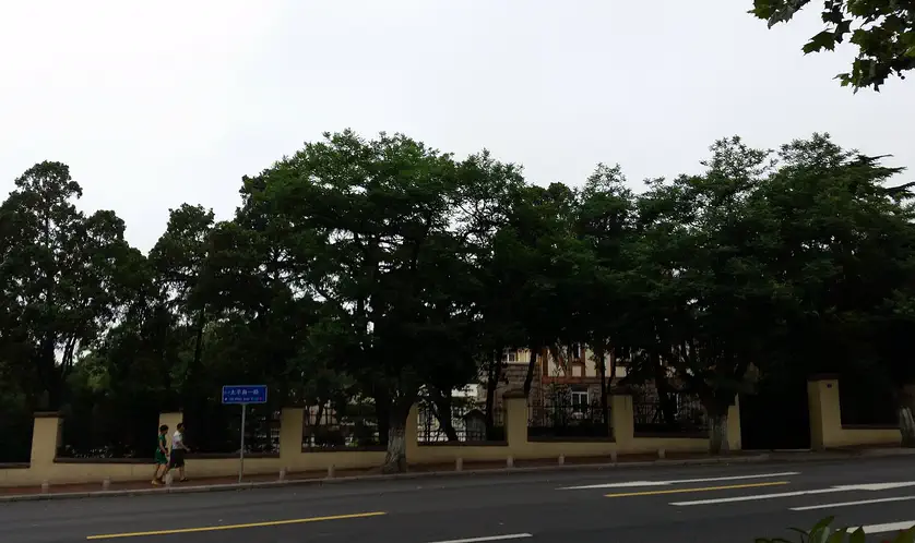 Qingdao Old Town: a tree-lined street of villas in the Badaguan quarter