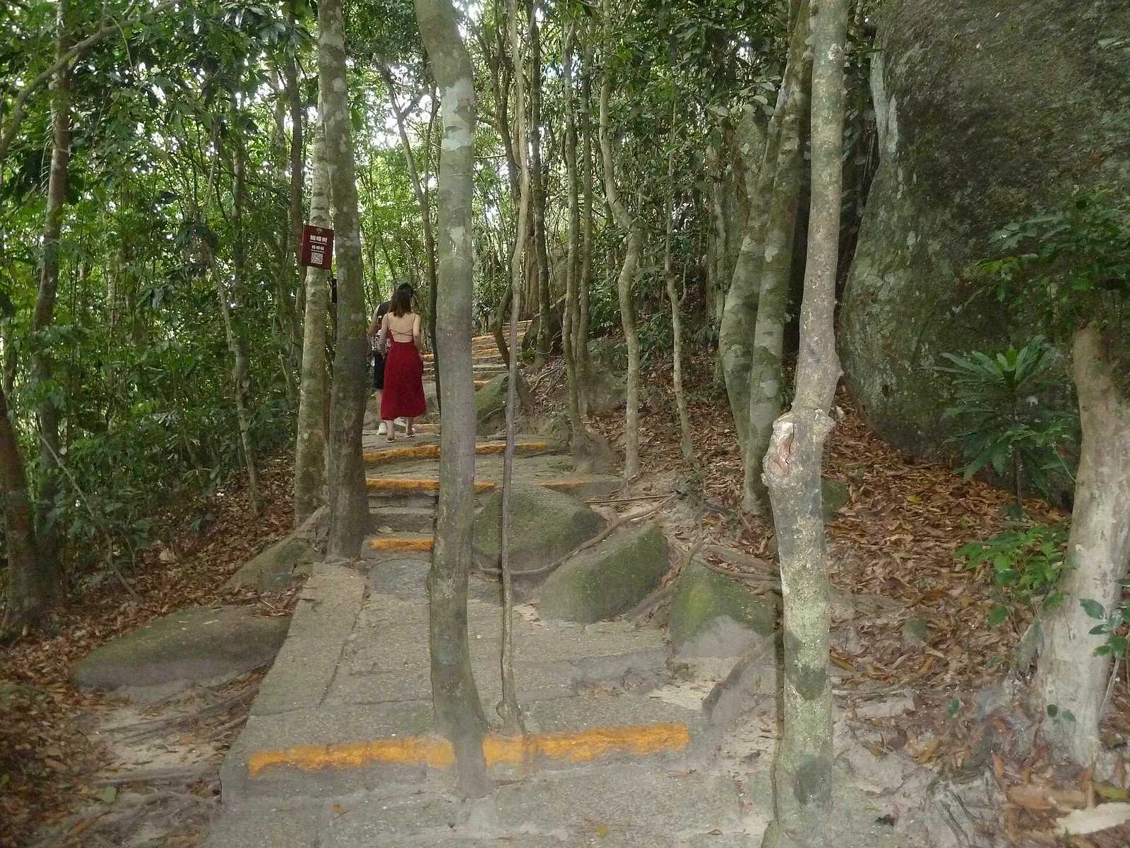 Yalong Bay Tropical Paradise Forest Park: wooden boardwalk path through a forest, with a person walking in the distance
