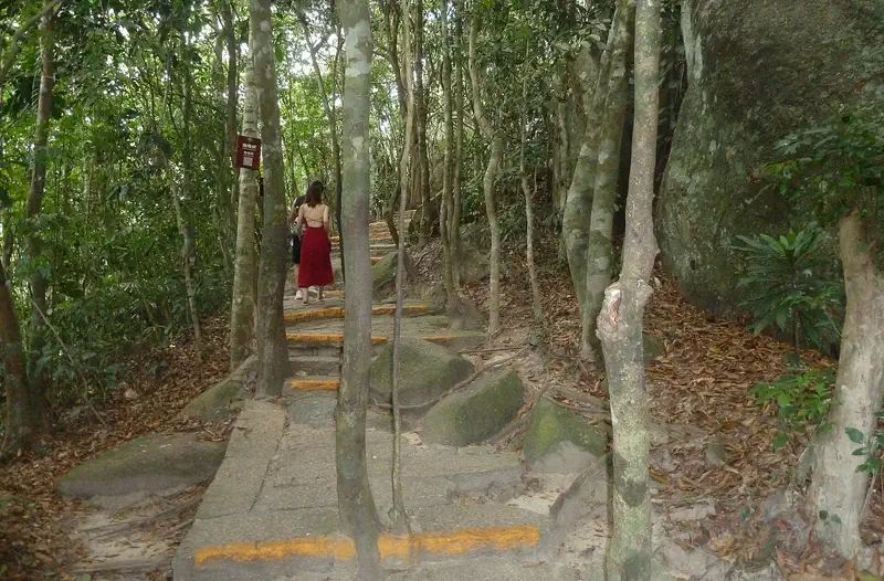 Yalong Bay Tropical Paradise Forest Park: wooden boardwalk path through a forest, with a person walking in the distance