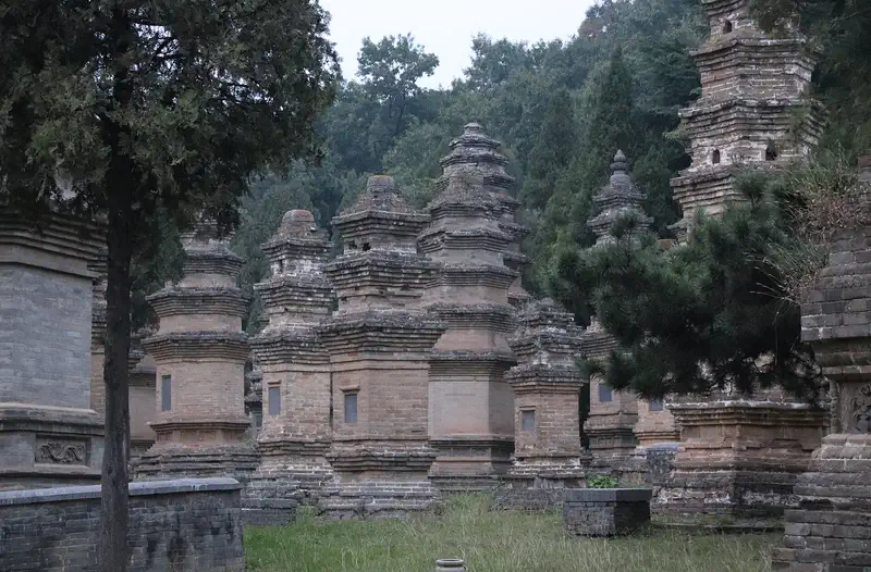 Shaolin Temple: dozens of carved stone pagodas crowded among trees in the Pagoda Forest