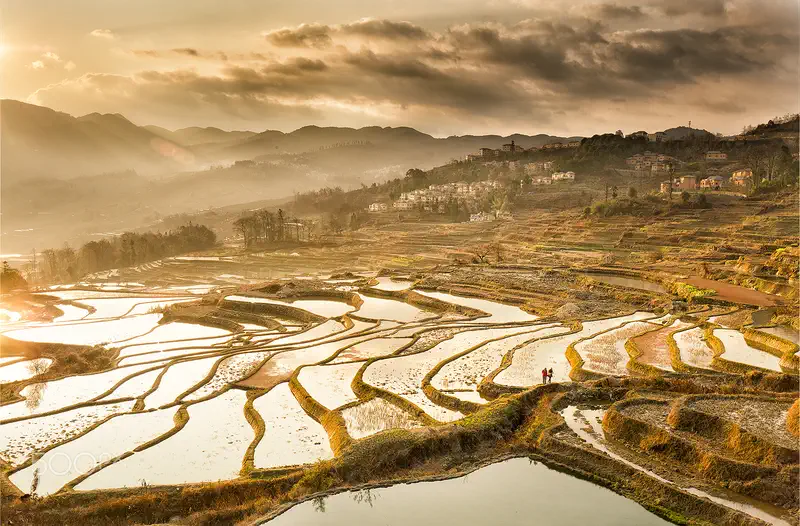 Yuanyang Rice Terraces: layered terraced paddies reflecting golden light under a hazy, cloud-streaked sky