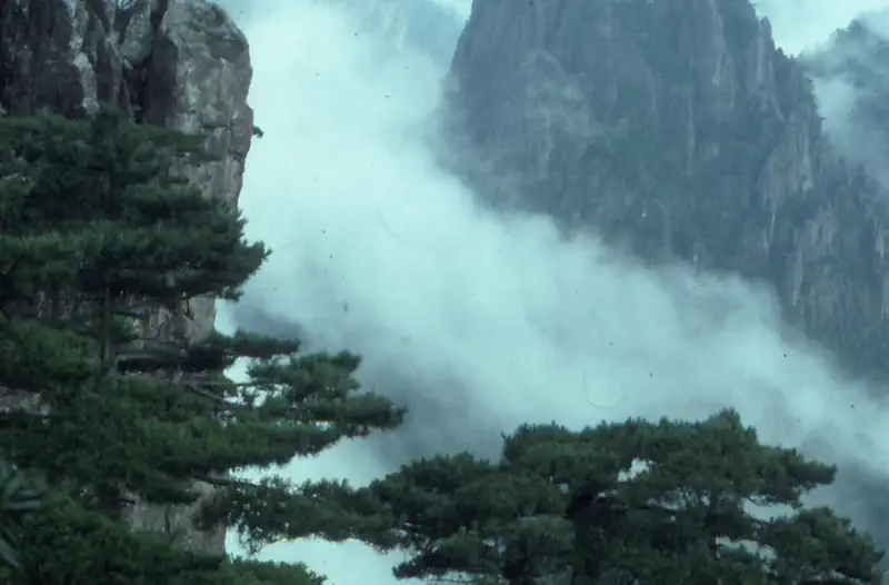 Huangshan Yellow Mountain granite peaks emerging from a sea of cloud