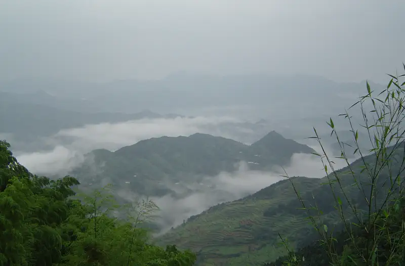Jiuhua Mountain: misty green mountains with clouds filling the valley below