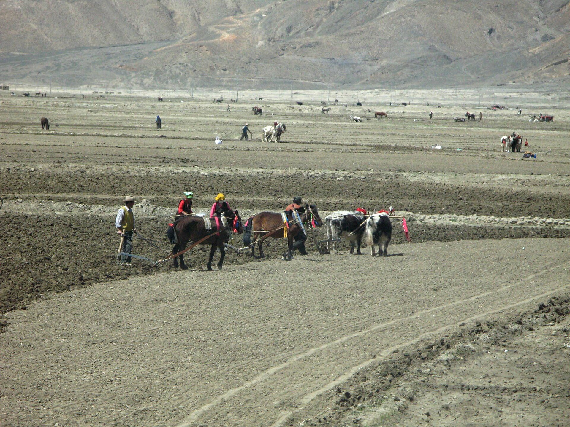 Shigatse