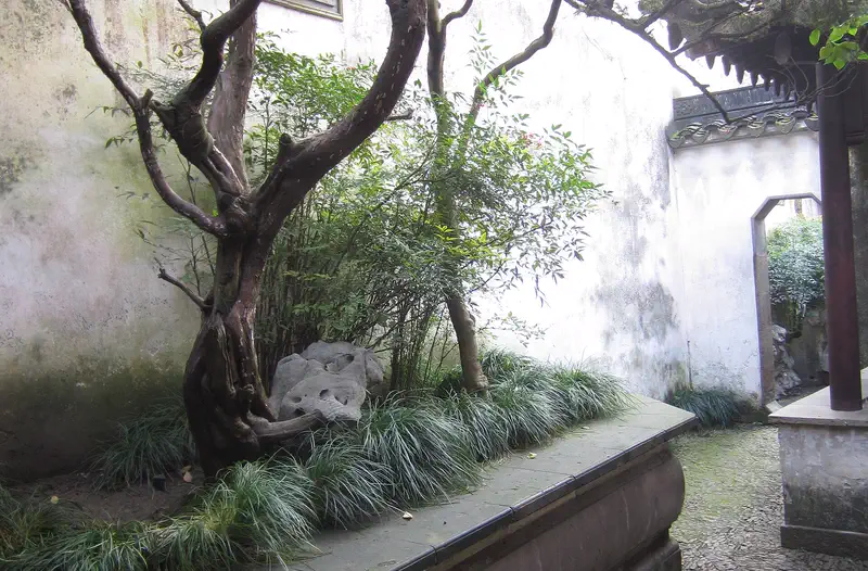 Suzhou: garden with a tree and stone wall beside water, a pavilion visible in the mist