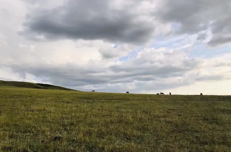 Xilinhot: open grassland of the Xilingol steppe with horses grazing on the skyline under heavy cloud