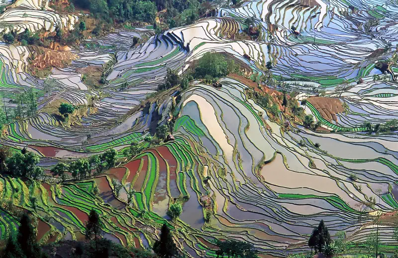 Yuanyang: flooded Hani rice terraces reflecting the sky in curving bands of silver, green and red