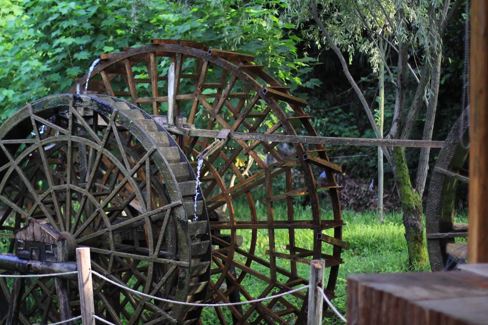 Zhangjiajie: wooden waterwheels surrounded by greenery and trees